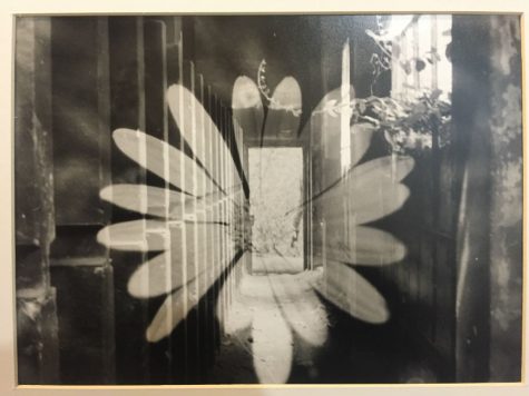 Bailey Carpenter Earns Recognition at National Level for Photography