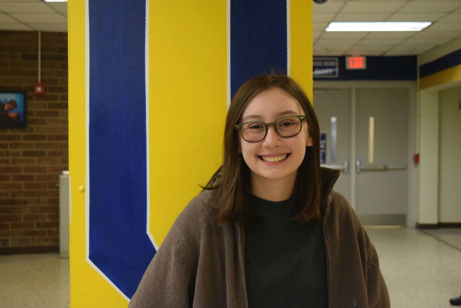 Tess Wladar will attend the Radford University’s Governors School for Visual Arts this summer.