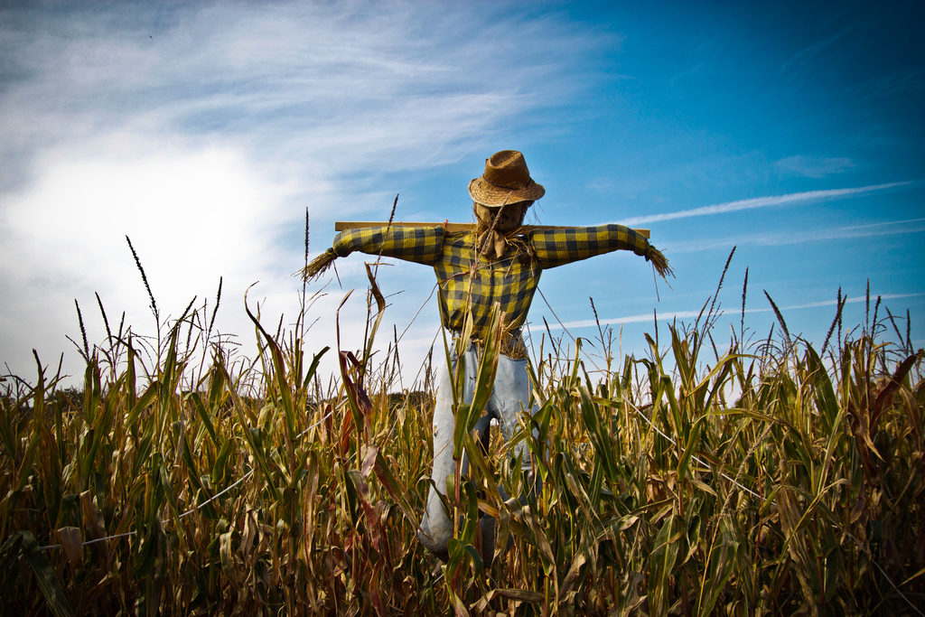 Alexander Acker captures the essence of a lonely scarecrow.
