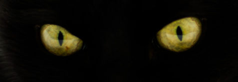 The Creature