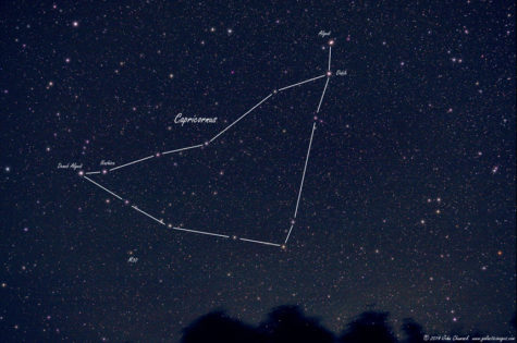 What’s Your Sign? Midlo HoroScoops Has Predictions