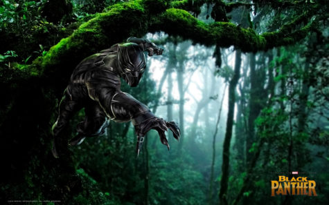 Black Panther Packs Theaters