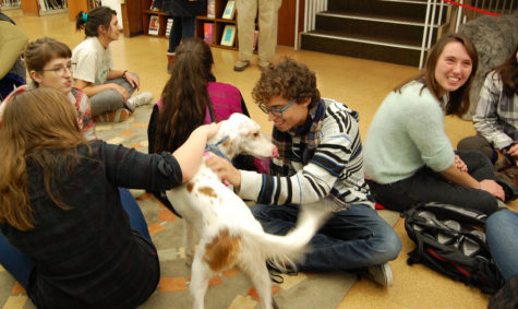 Animal Therapy Heals