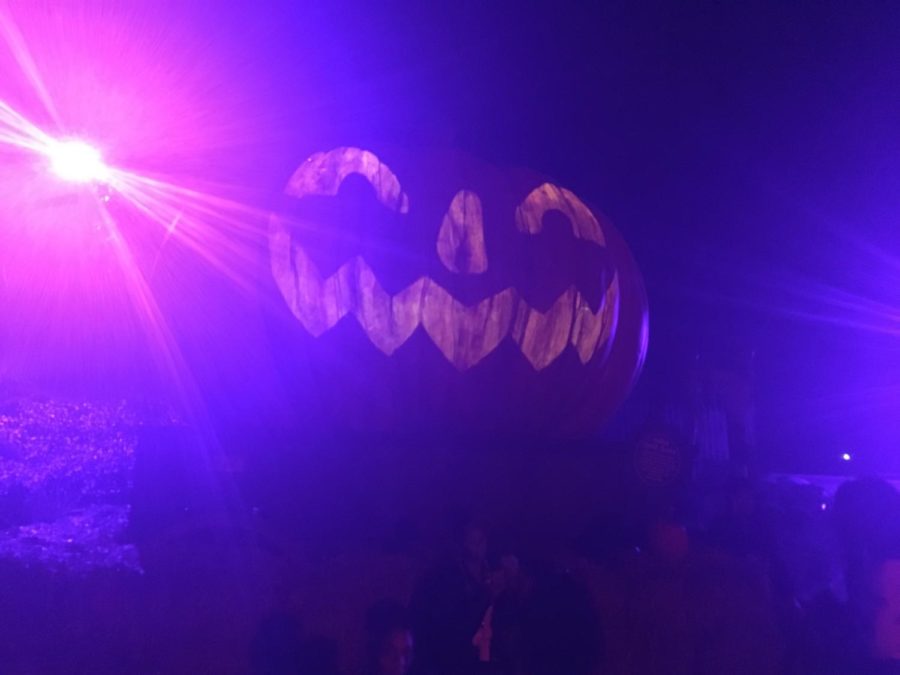 Busch Gardens Williamsburg goes all out with their pumpkin decor.