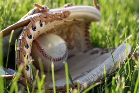 Sports Spring Into Season
