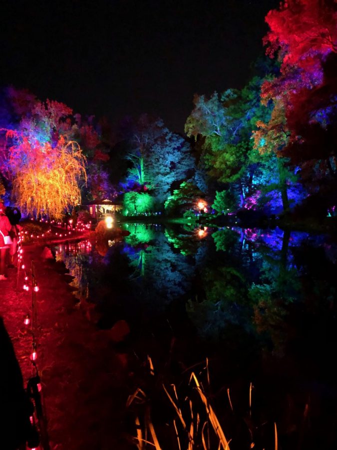 The Garden admits all the colors of the rainbow at Maymont Garden Glow 2019. 