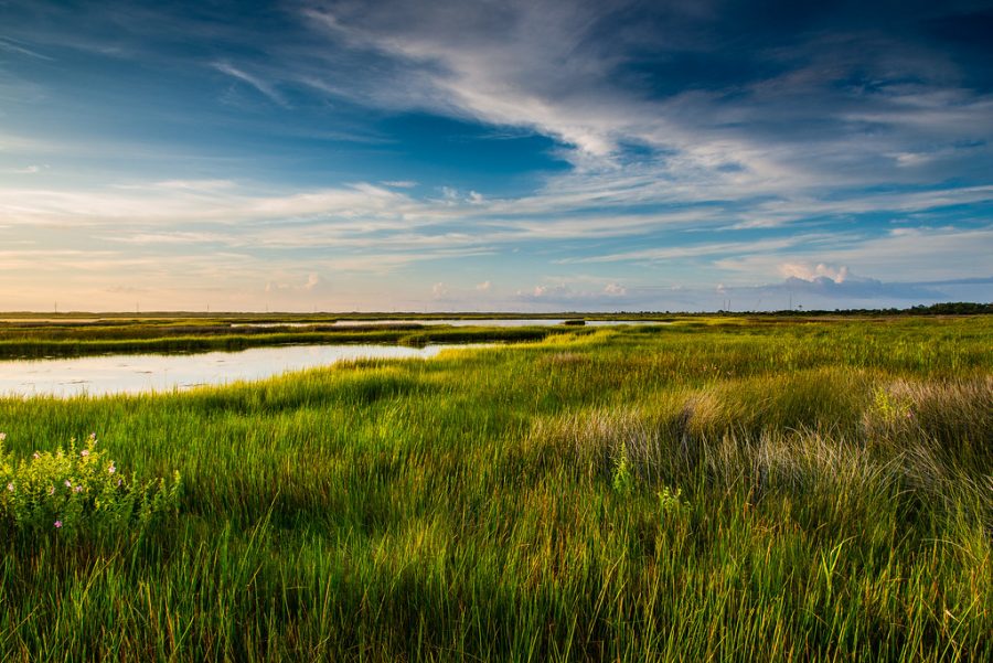 Netflix puts all eyes on the Outer Banks with its newest release.