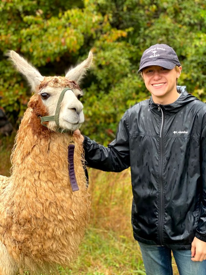 Sophomore Kyle Reeder shows off his hiking llama, Teriyaki.