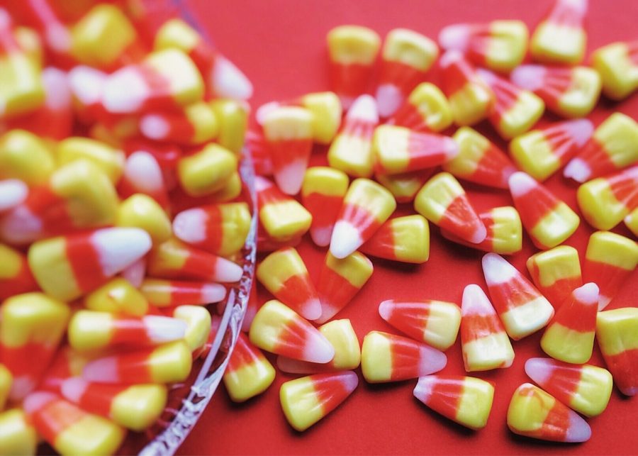 Midlothian students reveal their favorite Halloween candies.