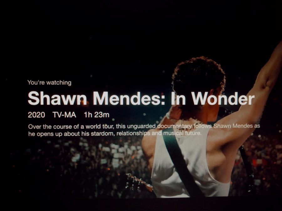 Netflixs newes release of Shawn Mendes: In Wonder offers fans a new perspective of the accomplished artist.