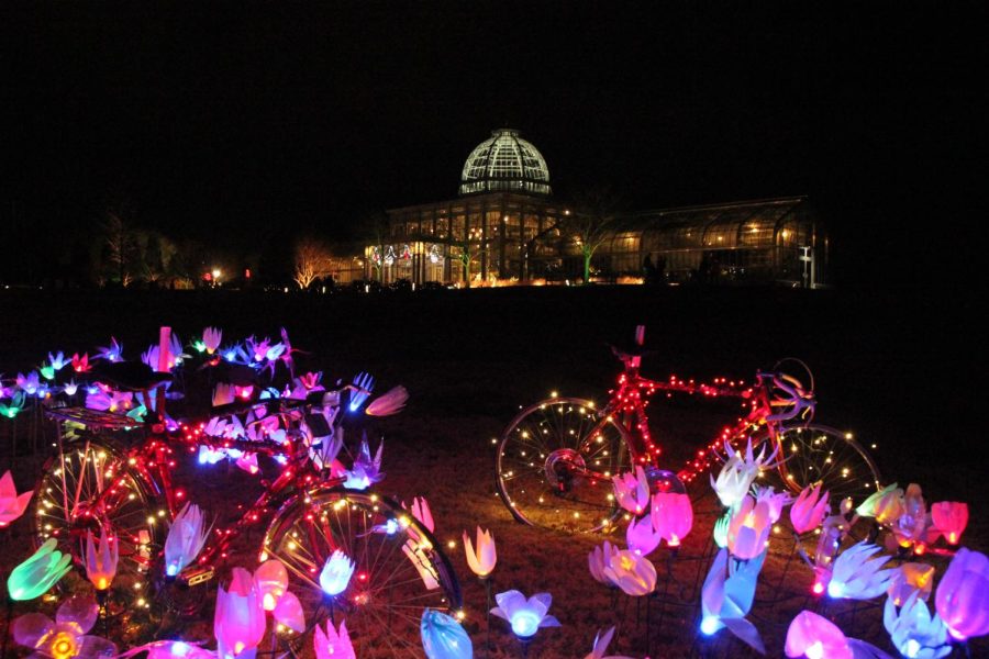 The Gardenfest of Lights at Lewis Ginter is sure to bring holiday cheer. 