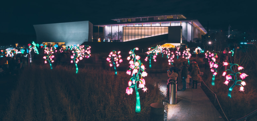 Winter lanterns signal the start of the Lunar New Year