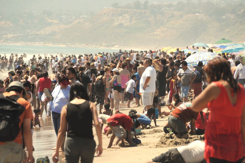 Herds of sweating Americans make their way to the beach amidst the heat wave.