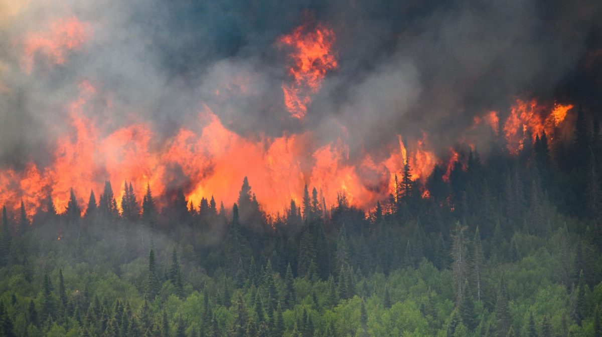 Wildfires+in+Canada