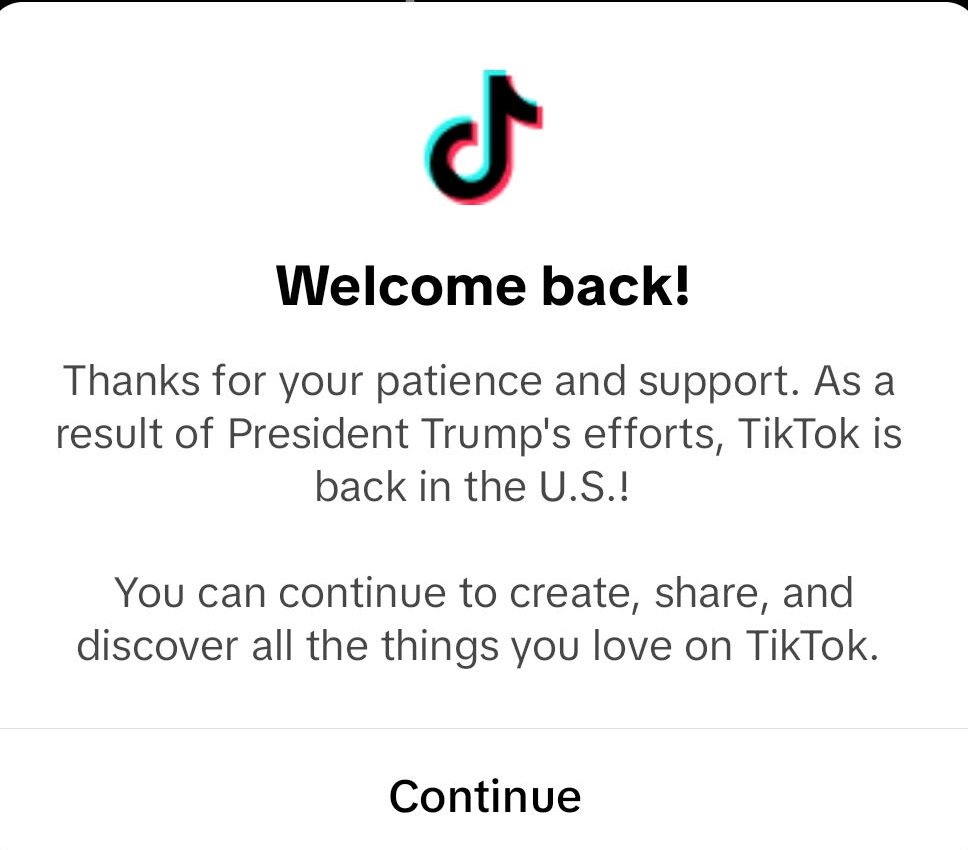 TikTok welcomes users back after it was shut down. 